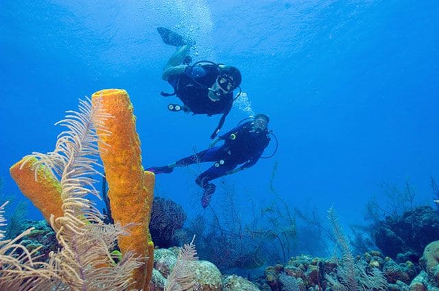Дайвинг в Хургаде на весь день 2026 – фото 3