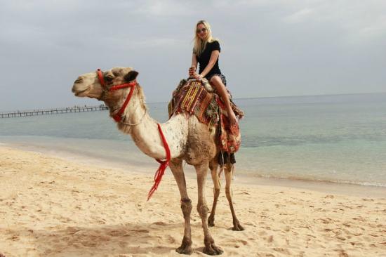 Катание на лошадях в Хургаде 2026 – фото 5