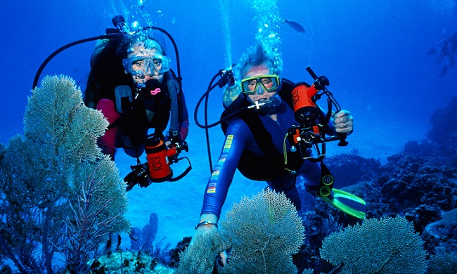 Курс дайвинга PADI Open Water в Хургаде 2026 – фото 2