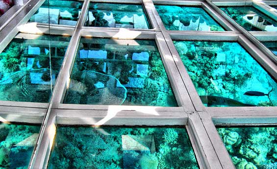 Лодка с прозрачным дном Хургада 2026 – фото 2