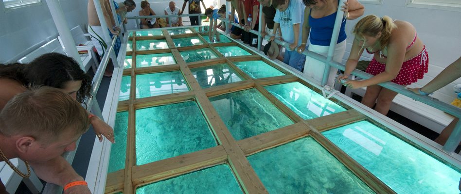 Лодка с прозрачным дном Хургада 2026 – фото 5