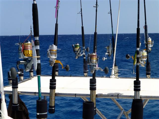 Рыбалка на Красном море Хургада 2026 – фото 3