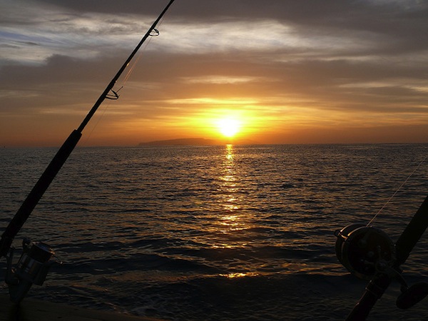 Рыбалка на Красном море Хургада 2026 – фото 4