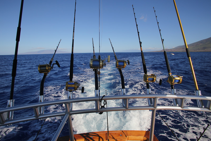 Рыбалка на троллинг Хургада 2026 – фото 2