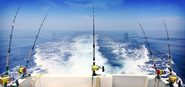 Рыбалка на троллинг Хургада 2026 – фото 3