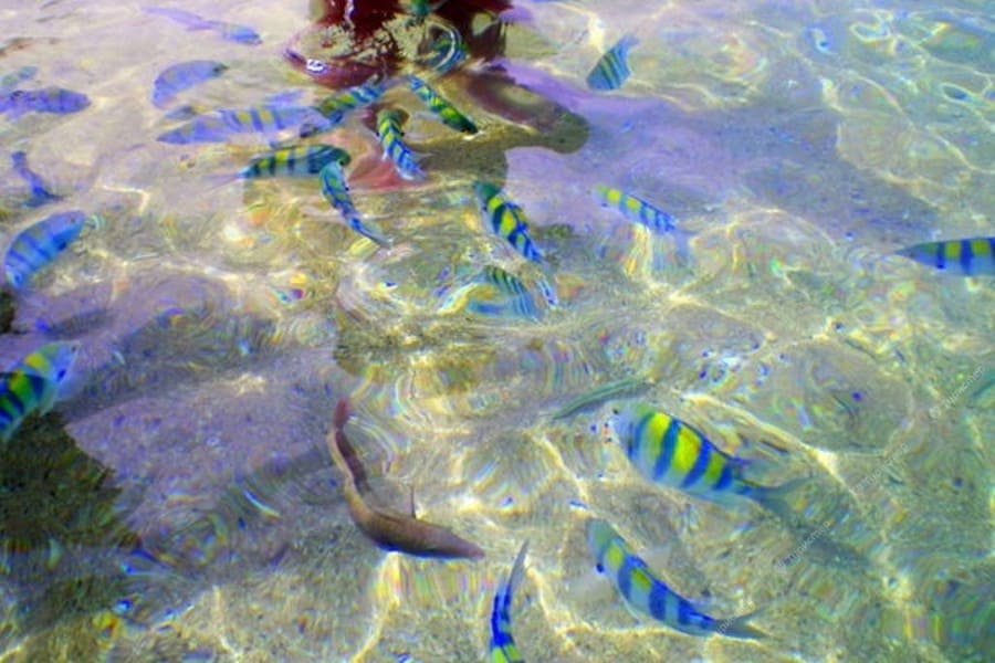 Шарм-Эль-Нага из Хургады 2026 – фото 3