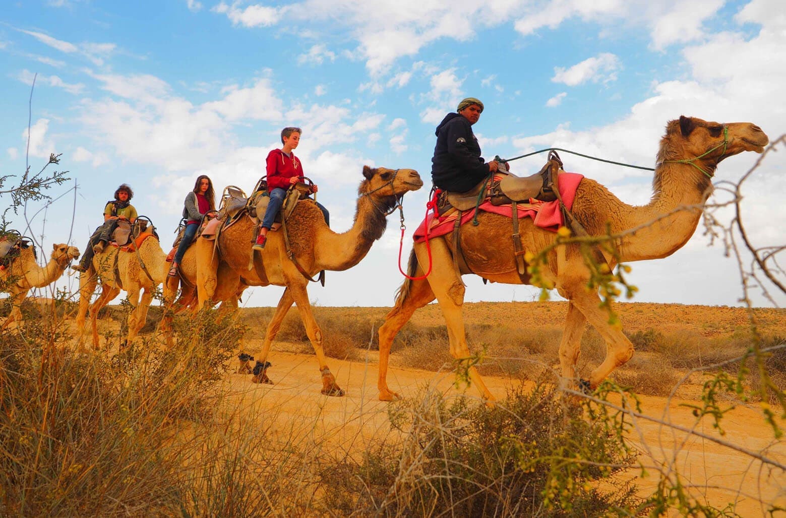 Верховая езда