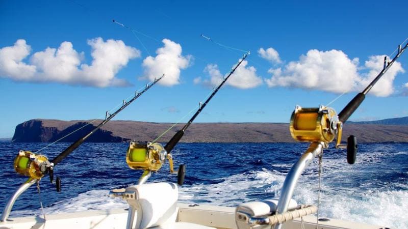 Рыбалка троллинг